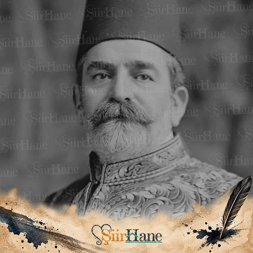 Ziya Paşa portresi